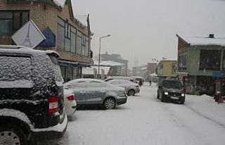 Varto’da kar yağışı