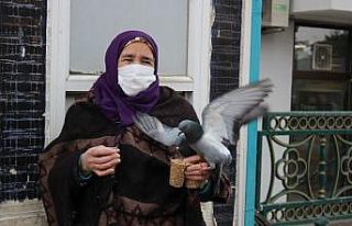 Vatandaşların beslediği güvercinlerin renkli görüntüsü