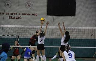 Voleybol 2. Lig: Elazığ Belediyesi Voleybol: 3 -...