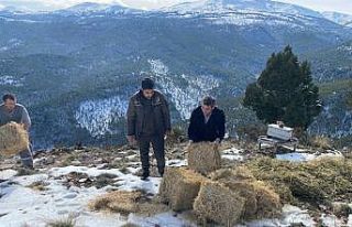 Yaban hayatına yem desteği