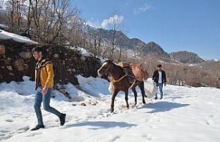 Yaban hayvanları için at sırtında yem götürdüler