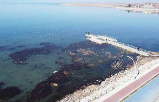 Yağışlar Beyşehir Gölü için olumlu ama yetersiz