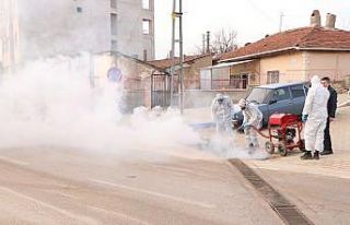 Yahşihan Belediyesinden larva ilaçlaması