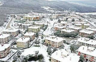 Yalova kara teslim oldu