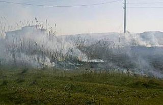 Yangın Gömeç sahilini duman altında bıraktı