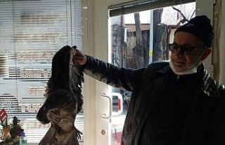 Yaralı atmacayı çiftçi kurtardı