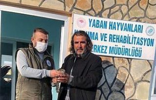 Yaralı kuşlar tedavi altına alındı