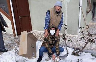 Yaralı martı Orman İşletme Müdürlüğüne teslim...