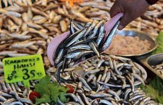 Yasak kalkınca hamsi tezgahlardaki yerini aldı