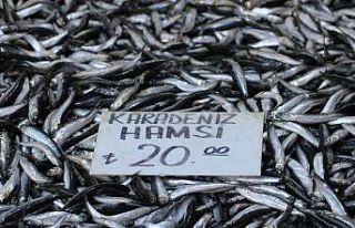 Yasak uzatıldı, sevenleri dondurulmuş hamsiyle...