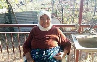 Yaşlı kadın çıkan yangında hayatını kaybetti