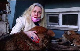 Yavru köpekler için bahçesine kulübe yaptırdı,...