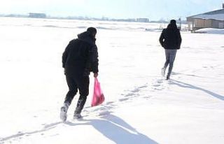 Yavrularıyla mahalleyi mesken tutan tilkiye balık...