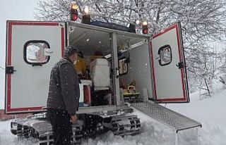 Yaylada mahsur kalan hastaya paletli ambulansla ulaşıldı