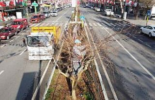Yeşil alanların bakımları yapılıyor