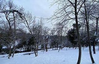 Yıldız Parkı’ndaki kar manzarası böyle görüntülendi