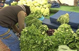 Yoğun kar yağışı sebzeyi vurdu