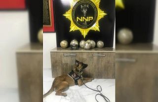 Yolcu otobüsünde 14 kilo uyuşturucu ala geçirildi