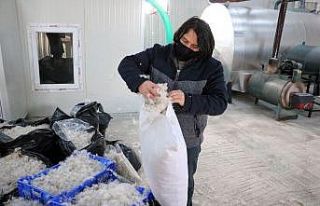 Yozgat’ta üretilen kaz tüyü Avrupa’ya ihraç...