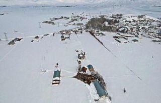 Yüksekovalı besicilerin zorlu kış mücadelesi