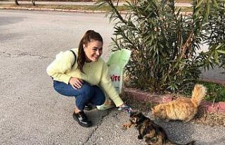 Zabıt katibi kedilerin umudu oldu