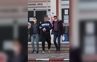 Zeytinyağı hırsızı yakalandı