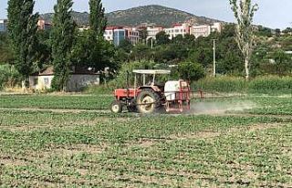 Ziraat Fakültesi desteğiyle kuraklığa dayalı...
