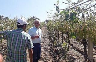 Ziraat Odası Başkanından sigorta uyarısı