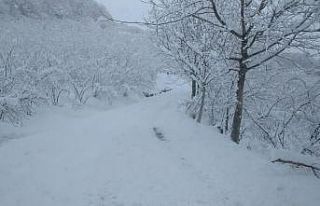 Zonguldak’ta  165 köy yolu ulaşıma kapandı
