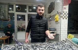 Zonguldak’ta tezgahlar hamsilerle doldu