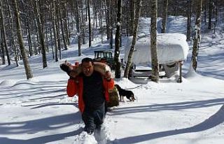 Zonguldak’ta yaban hayvanları için doğaya yem...