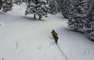 Zorlu kış şartlarında yaban hayatı unutulmadı