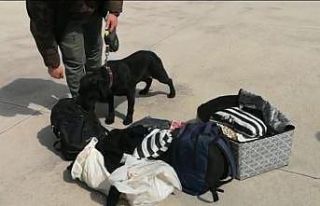 105 gram kokaini ’Gece’ buldu