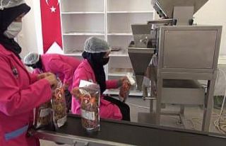 10 kadının kurduğu kooperatif 25 hemcinslerine...