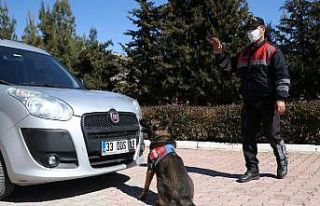 2020 yılında Mersin’de 35 terör örgütü üyesi...