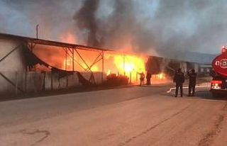 20 ton soğan ve 16 bin kasanın küle döndü