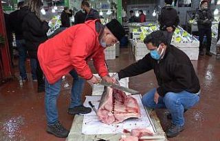 2,5 metre 98 kilogramlık kılıç balığı 1 saatte...