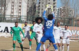 2. Lig: Sivas Belediyespor: 2 - Sakaryaspor: 2