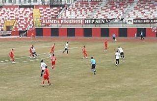 2. Lig: Vanspor FK: 2 - Pendikspor: 0