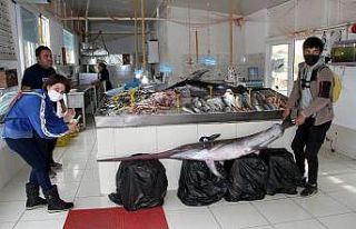 3,5 metrelik kılıç balığı görenleri şaşırttı