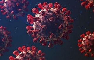 365 günde 58 milyondan fazla Covid-19 haberi yapıldı