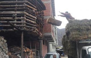 60 hanenin yandığı köye yardım yapmak isteyenler...