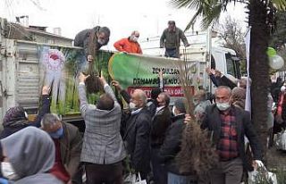 65 bin fidan dağıtıldı