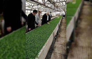 80 bin mevsimlik fide kampüse dikilecek