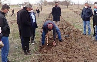 8 Mart Kadınlar Günü için Sandıklı’da fidan...