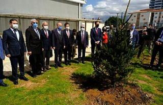 AB Türkiye Delegasyonu fidan dikti