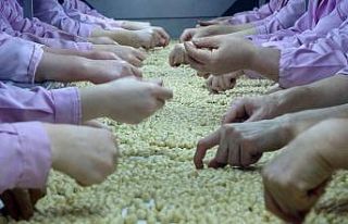 AB ülkelerine iki ayda 4 bin 803 ton 131 kilo fındık...