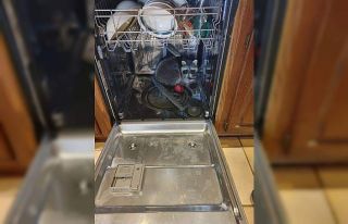 ABD’de rakun, girdiği evdeki bulaşık makinesinde...