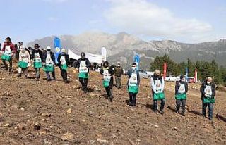 Adana’da yanan ormanlık alanlara kızılçam tohumu...