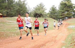 Adıyaman’da 255 atlet yarıştı